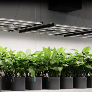 Alternative view of AC Infinity IONFRAME EVO10 Samsung Grow Light 1000W, 6x6 Feet