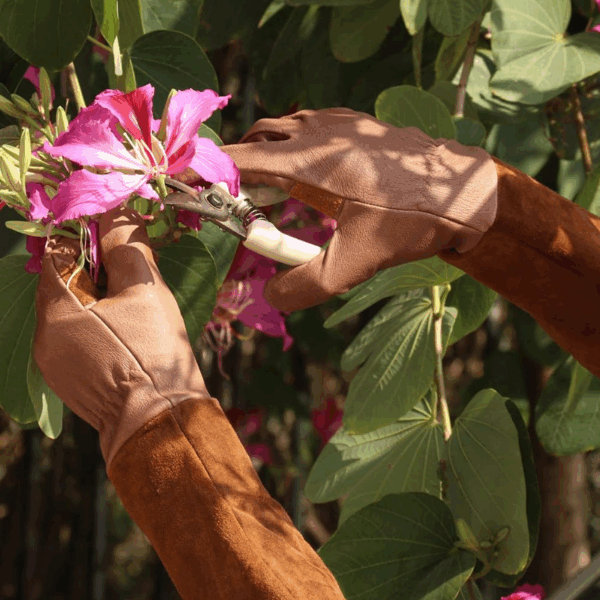 Premium Rose Pruning Gloves - Image 12