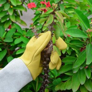Premium Rose Pruning Gloves
