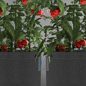 Heavy Duty Fabric Pots Grow Bags Thick Nonwoven Fabric Multi-Purpose Rings Low Stress Plant Training
