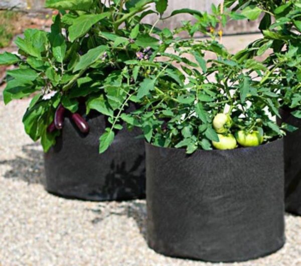 Premium Garden Grow Bags - Image 12