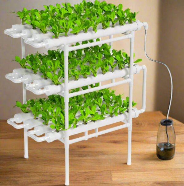 Hydroponics Growing System - High Yield Indoor Gardening Kit with Timer & Pump - Image 7
