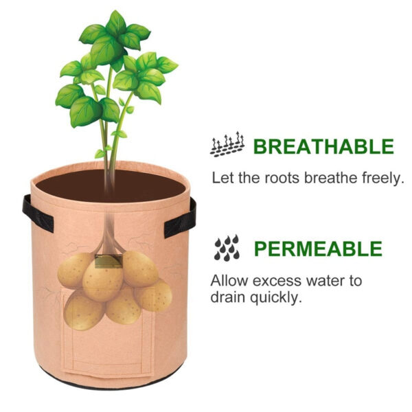 Vegetable Grow Bags Beige - Image 12