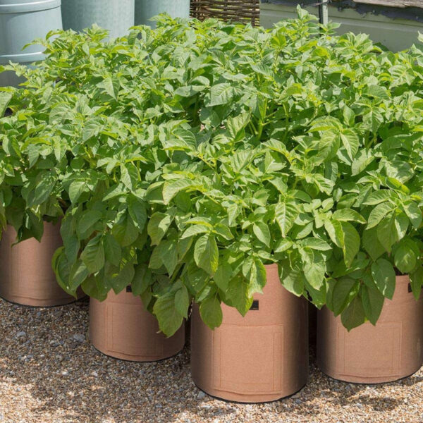 Vegetable Grow Bags Beige - Image 13